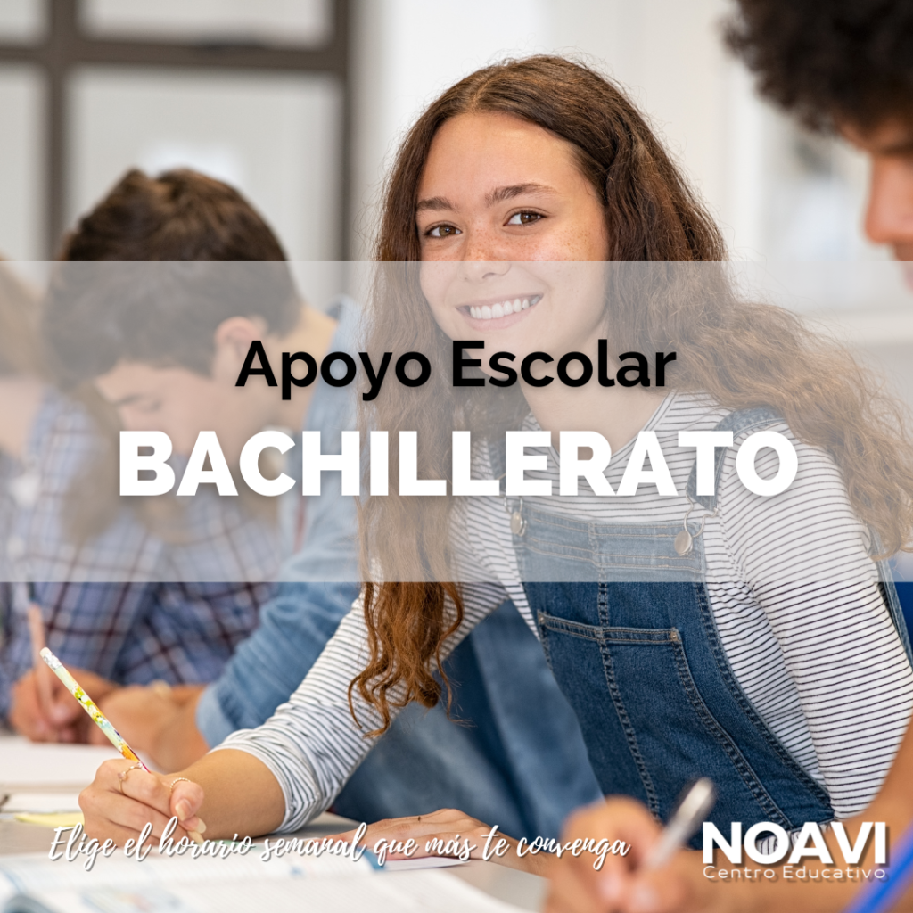 Apoyo Escolar Bachillerato